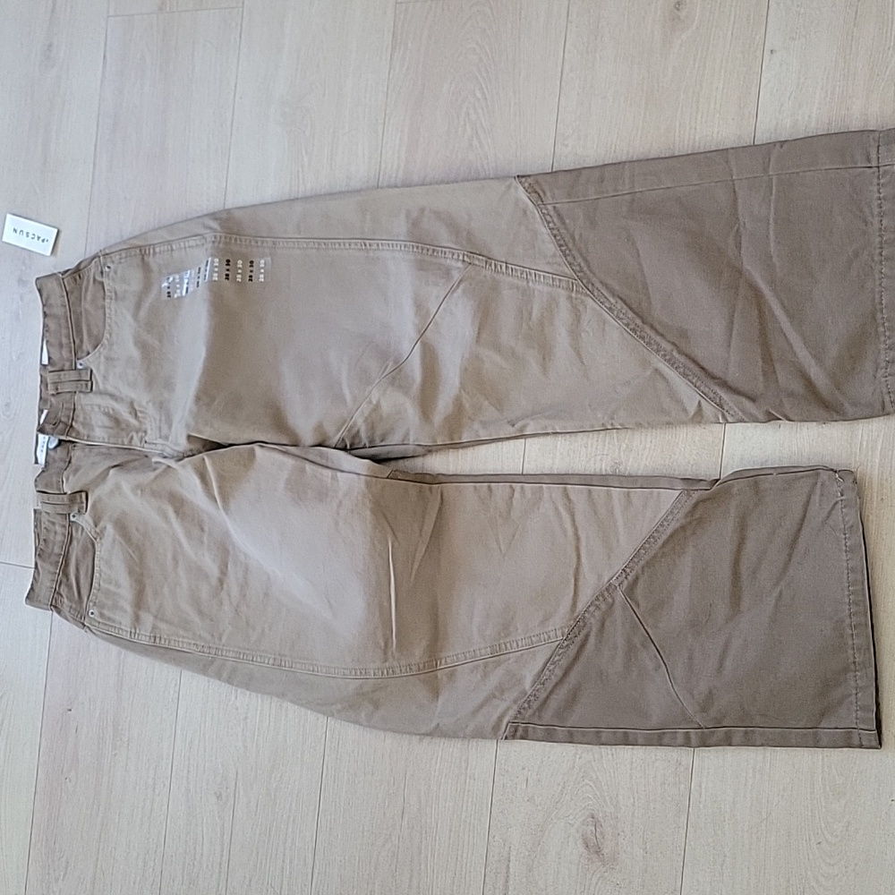 Pacsun baggy cargo pants